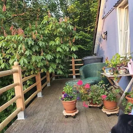 Luxurioses Mit Blick Auf Ziegen- Und Ponywiese Appartement Mittelhof