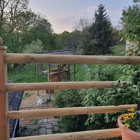 Luxurioses Mit Blick Auf Ziegen- Und Ponywiese Appartement